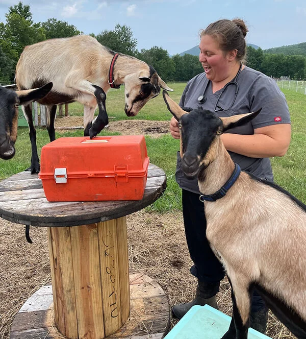 Large animal mobile store vet near me